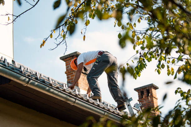 Best Roof Waterproofing Services  in Almedia, PA