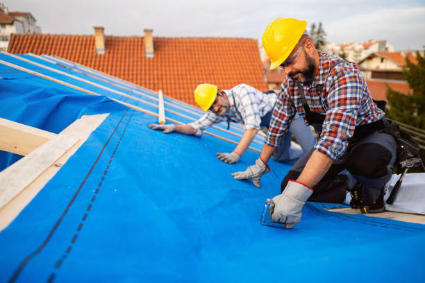 Best Roof Gutter Cleaning  in Almedia, PA