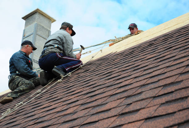 Best Residential Roofing Contractor  in Almedia, PA