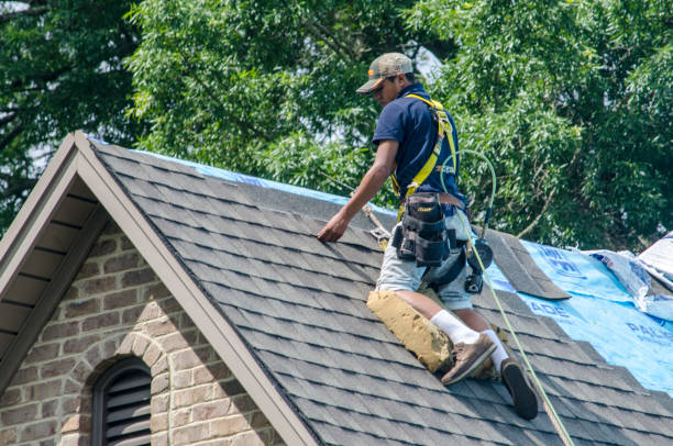 Professional Roofing Contractor in Almedia, PA